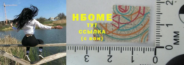 стаф Алзамай