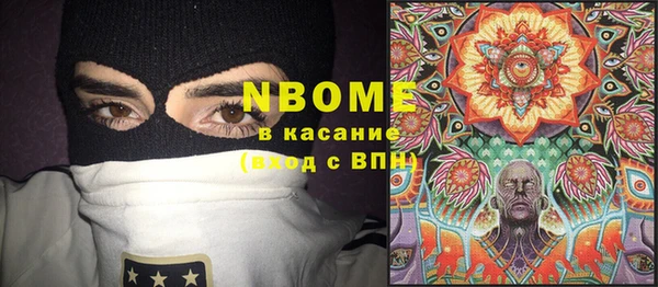 стаф Алзамай