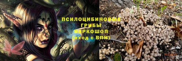 соль ск Алексеевка