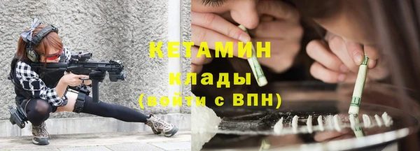 стаф Алзамай