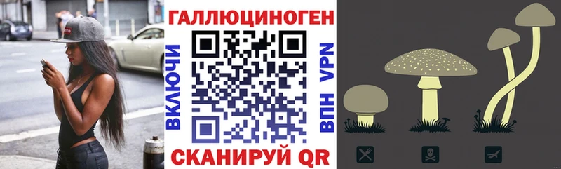 hydra ссылка Воткинск Псилоцибиновые грибы Cubensis