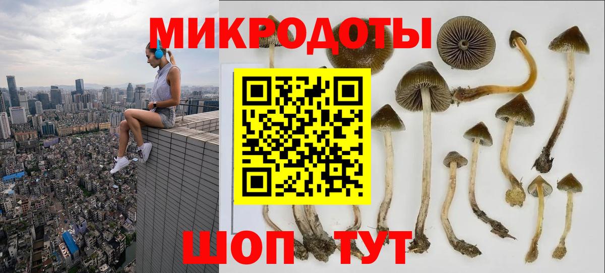 Галлюциногенные грибы ЛСД Воткинск