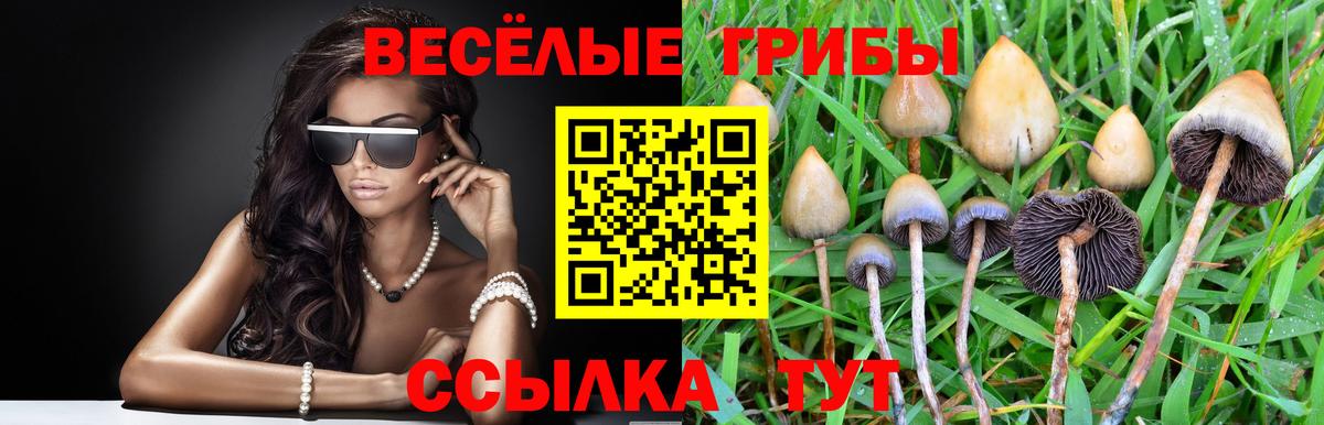 Галлюциногенные грибы Psilocybine cubensis  Вход с VPN  Воткинск 
